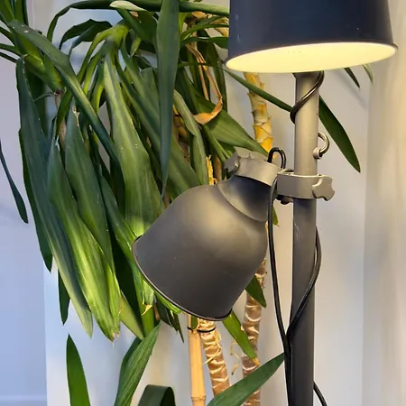 Cocon Exotique A 아파트